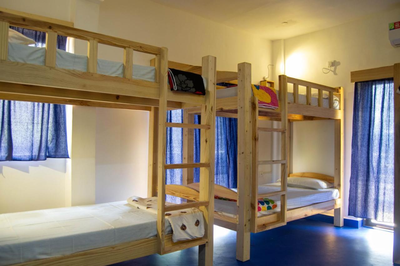 Nest & Guest House, Baga-arpora Arpora