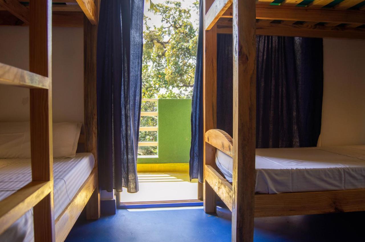 Nest & Guest House, Baga-arpora